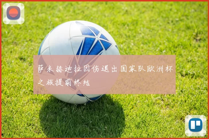 萨米赫迪拉因伤退出国家队欧洲杯之旅提前终结