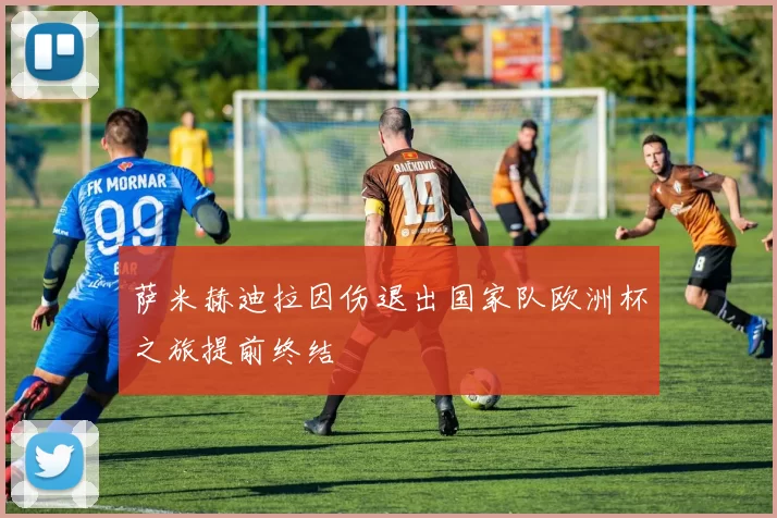 萨米赫迪拉因伤退出国家队欧洲杯之旅提前终结