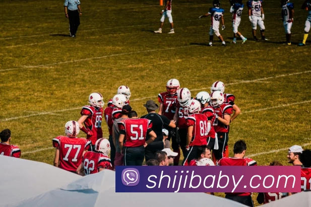 App Interface Preview